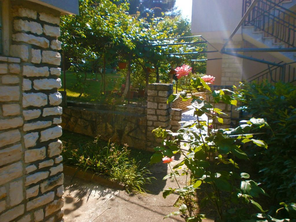 Apartment Anton Porec