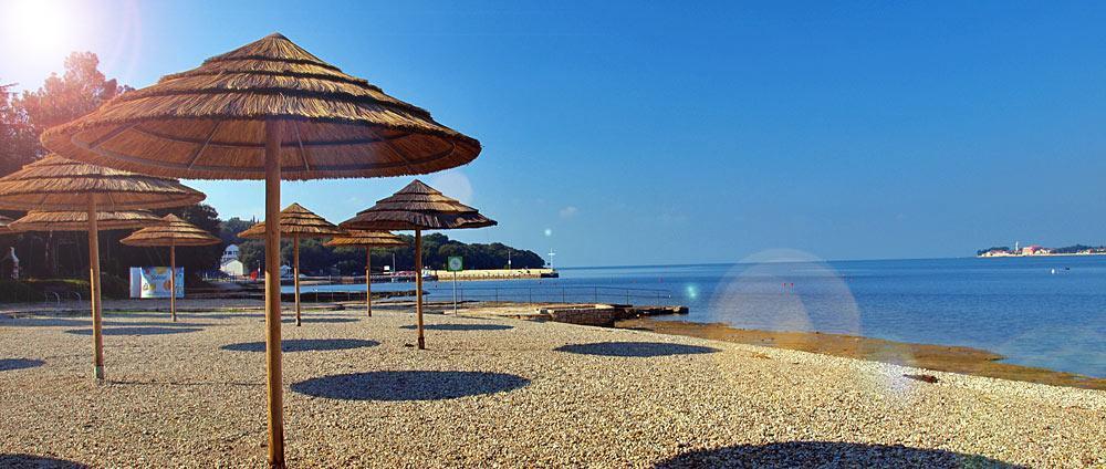 Anton * Porec
